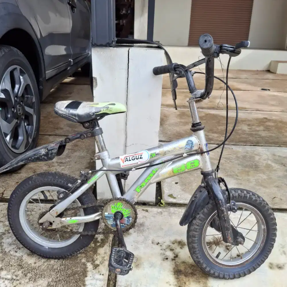 Sepeda Anak Family Silver Green – Harga Murah Nego Sampai Jadi