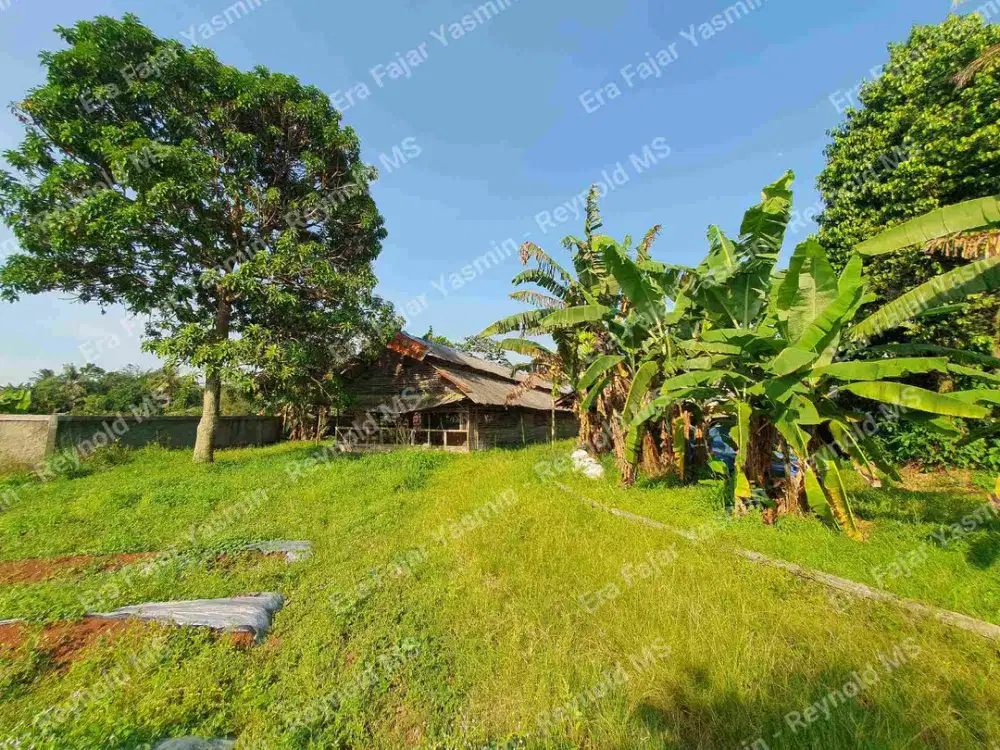 Di jual Tanah murah sudah di lengkapi Kandang Ayam di Putat Nutug