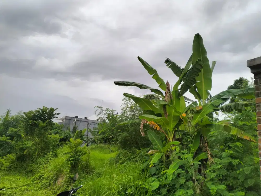 Dijual Tanah Di Lokasi Strategis Dekat Pantai Nyanyi