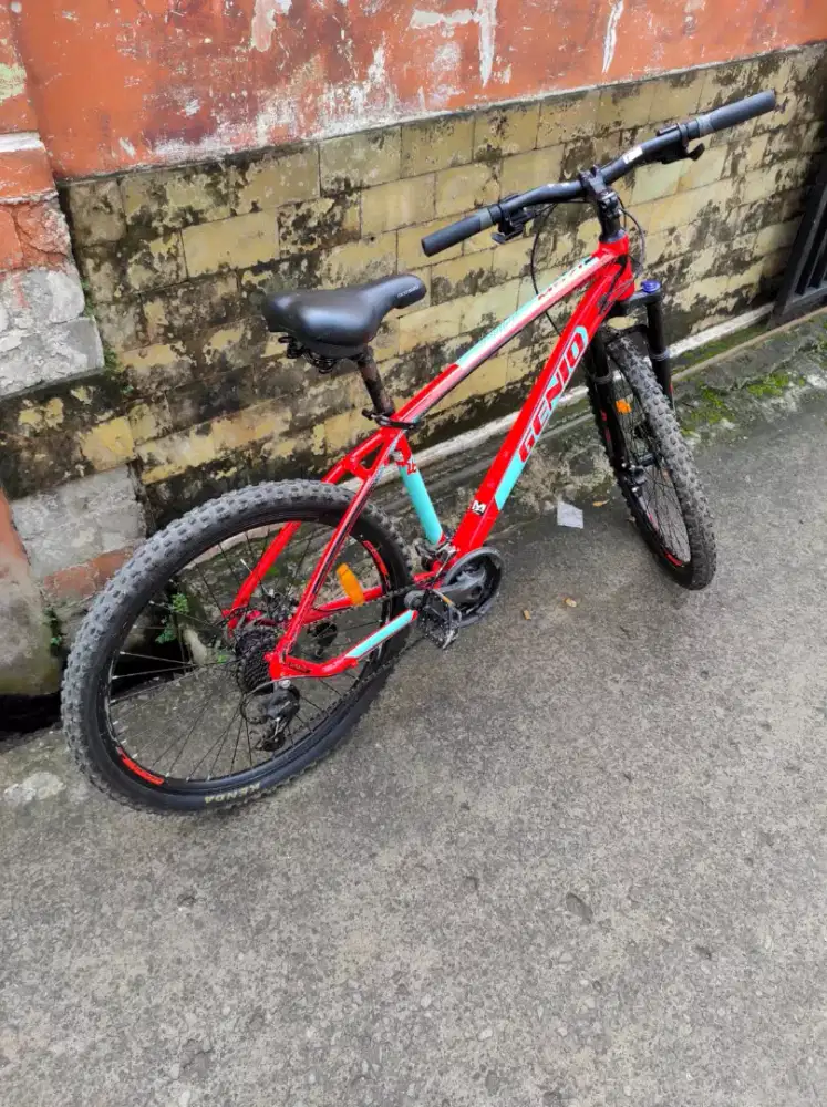 GENIO M571 26 dewasa