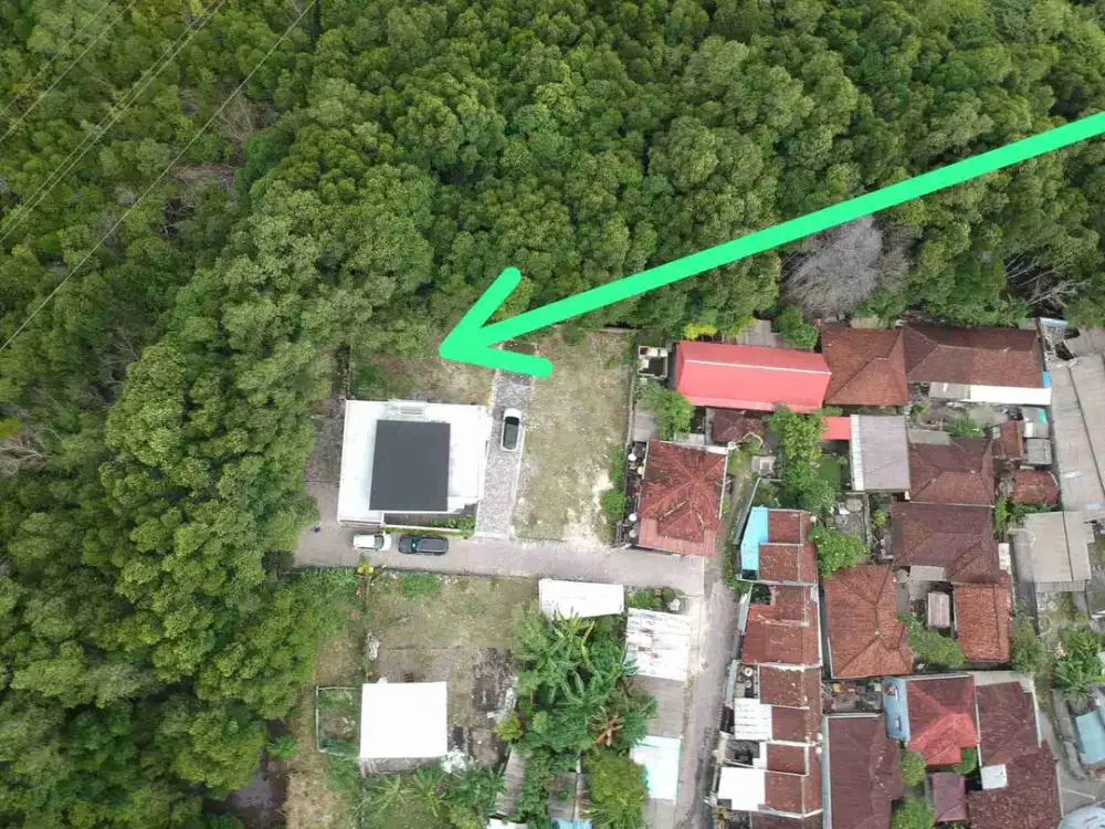 tanah perumahan jimbaran!! view hutan mangrove 1.5 are