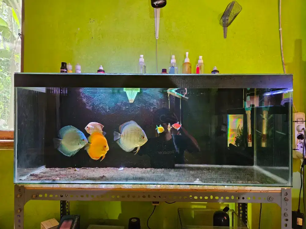 Aquarium Ikan Discuss