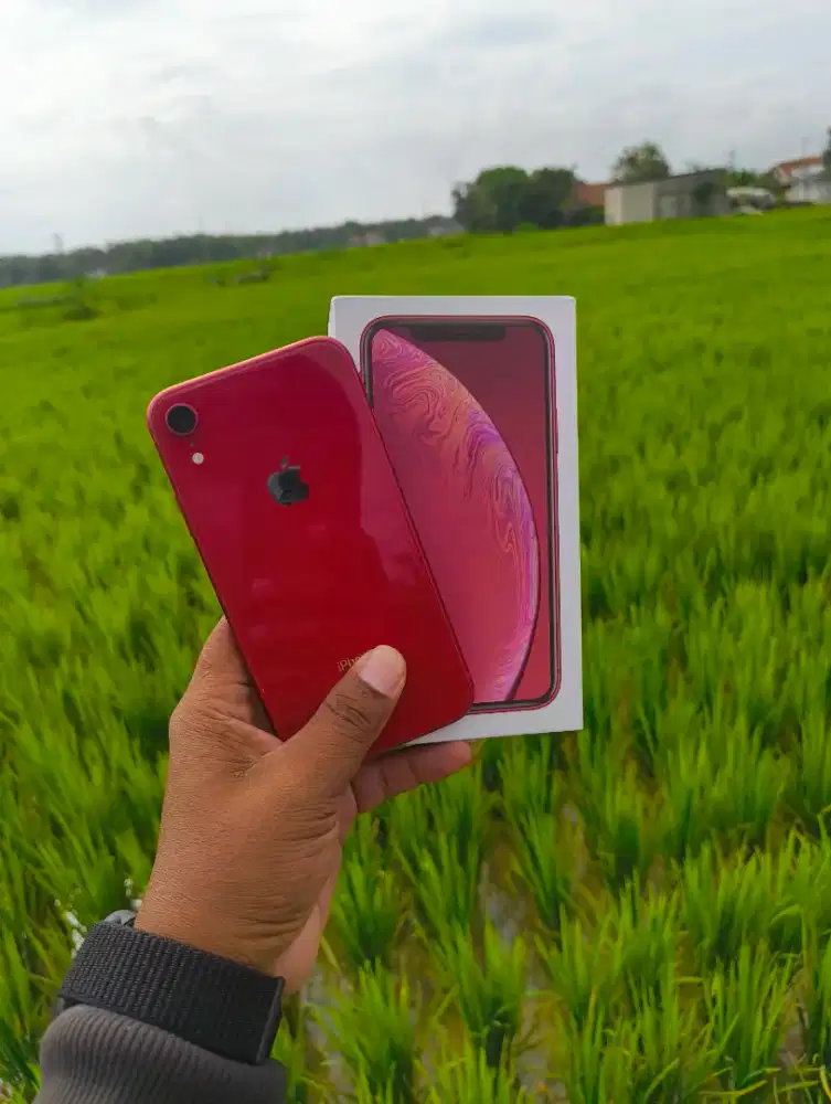 iPhone XR 256GB Beacukai
