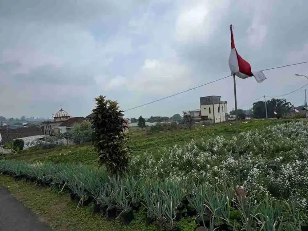 TANAH KEBUN KOTA BATU UNTUK VILA KEBUN