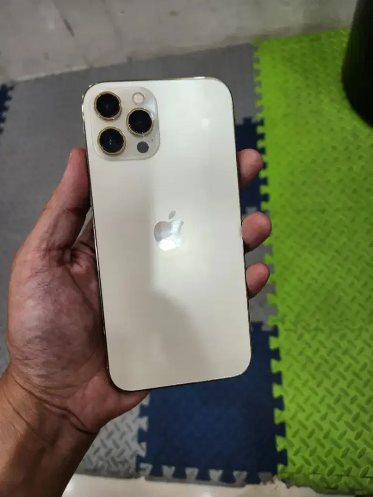 Iphone 12 pro max 128gb resmi Indonesia