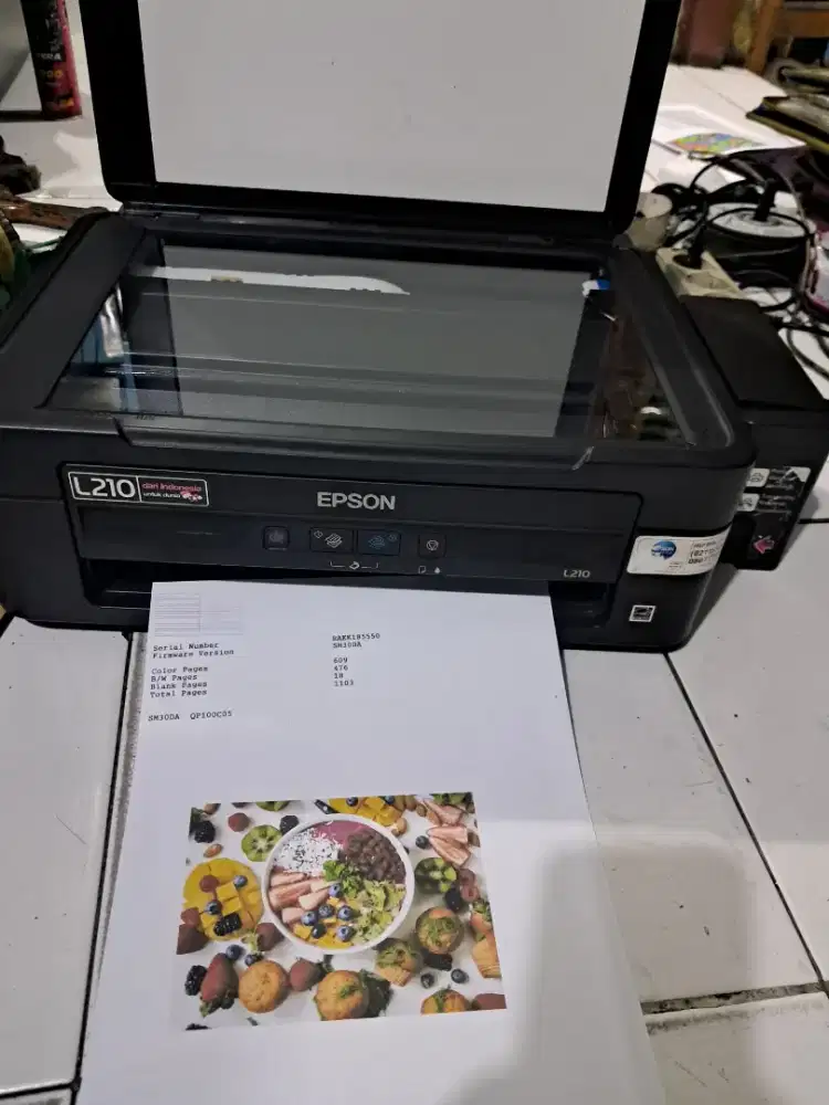 Printer epson L210 al in one