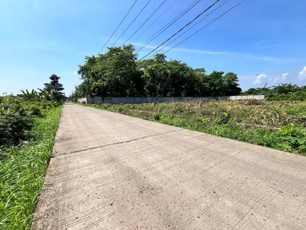 Kavling Cisauk 20 Menit Eastvara Mall, Pas Buat Tabungan