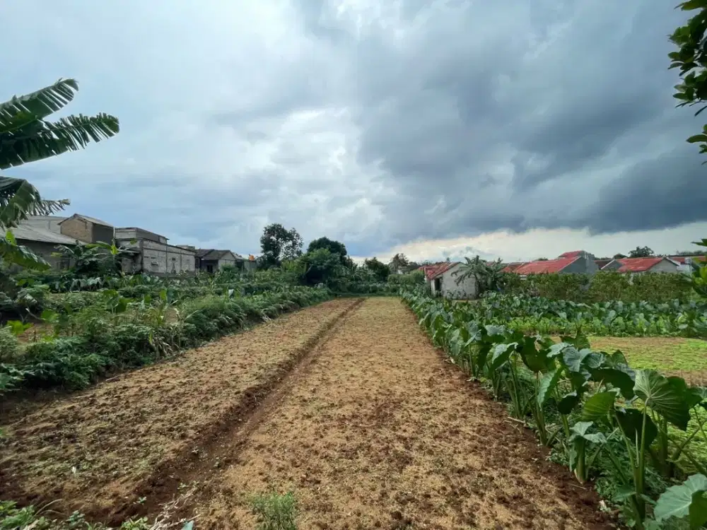 Tanah Impian strategis 10 Menit Stasiun Cilebut Free SHM Diskon 25jt