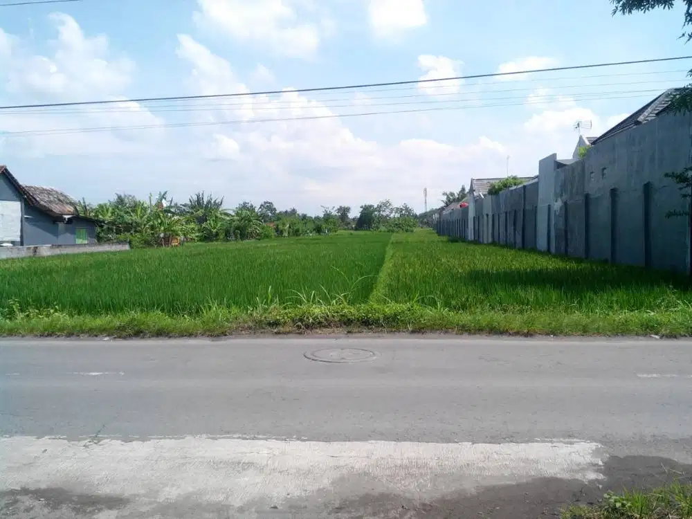 Jual Tanah murah Bantul dekat Prawirotaman, cocok untuk bisnis