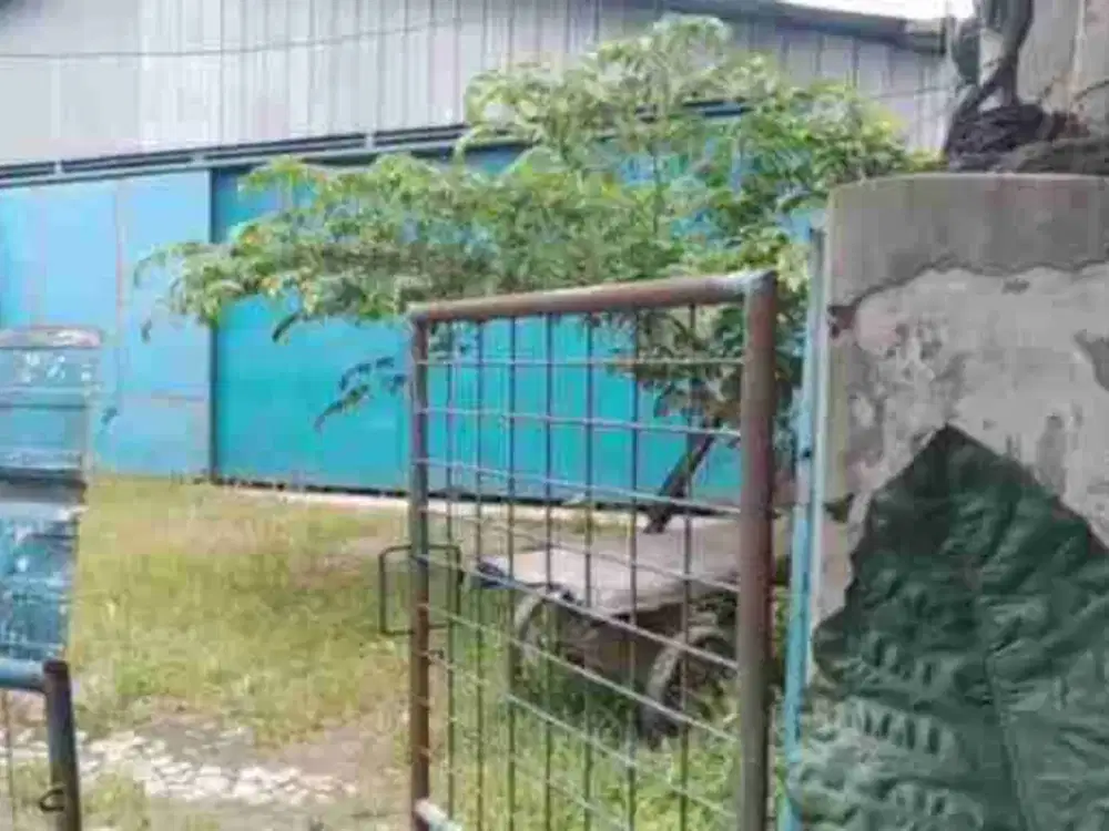 Disewakan Gudang Bagus Siap Pakai di Cileungsi Bogor