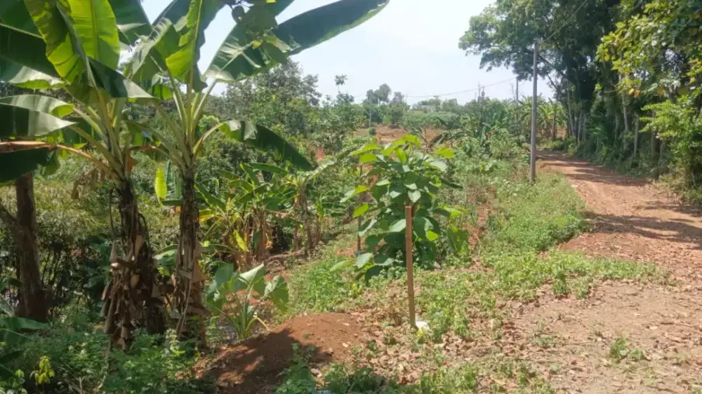 Jual tanah murah gunung pati kota semarang