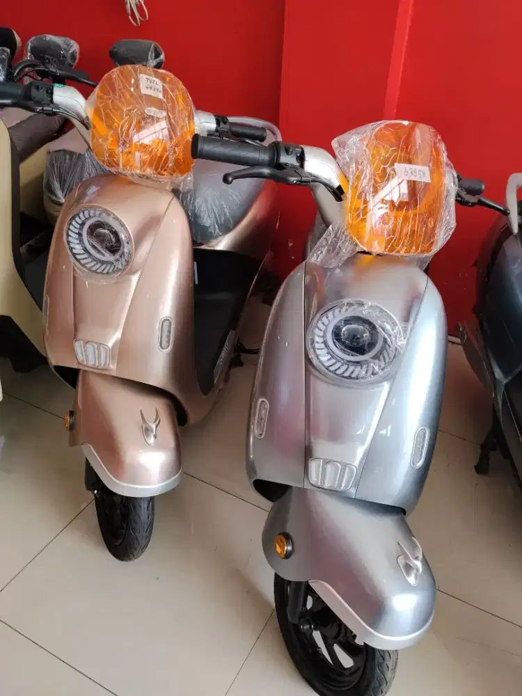 Sepeda Listrik U-winfly T65L