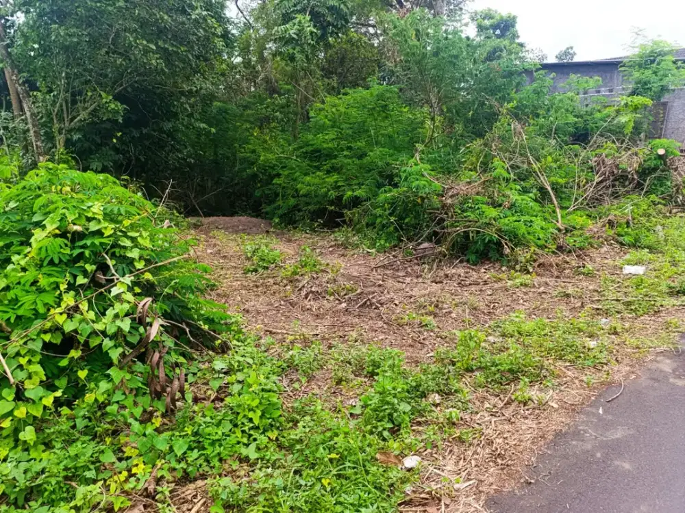 Tanah Selomartani Kalasan, 200 Meter Jalan Raya