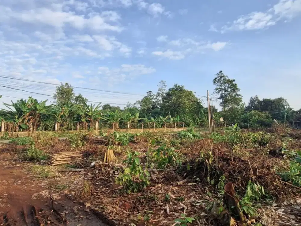 Kavling Murah Cisauk, Dekat Stasiun Jatake & Tol Legok. Terima SHM Pecah