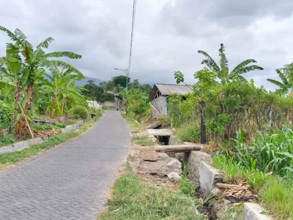 Tanah Villa di Prigen, Pasuruan, Khusus, Surabaya. Tanah Luas dan Terjangkau