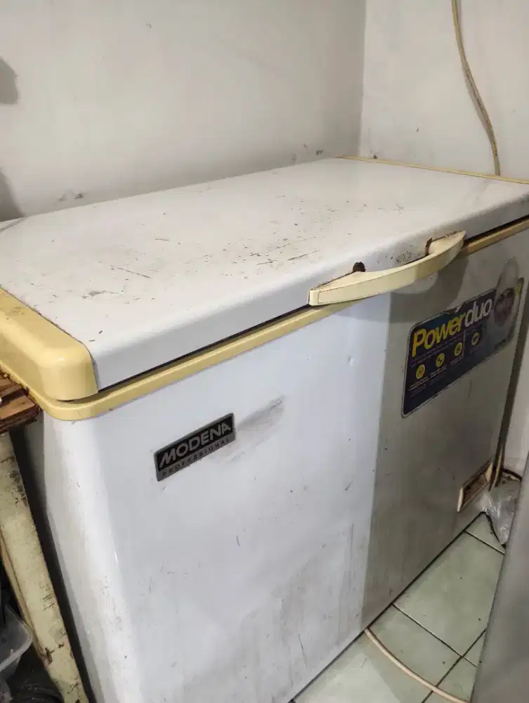FREEZER BOX MODENA 300L