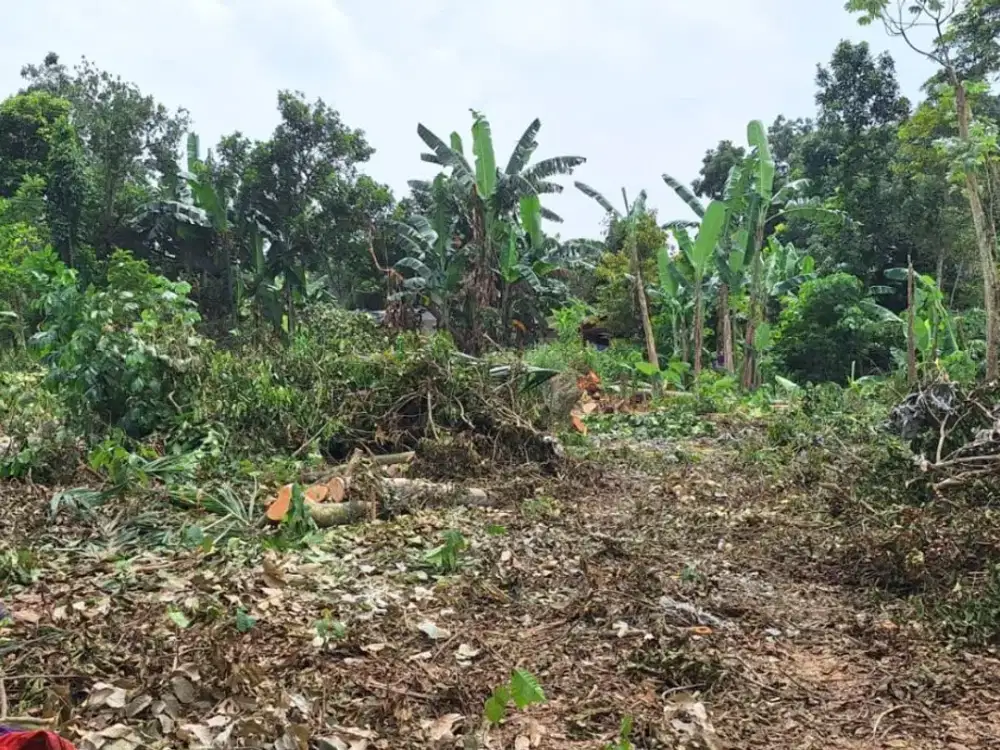 10 Menit Stasiun Baru Jatake - Tanah Cisauk Pinggir Jalan 1Jtan/m - Bisa Cicil Tanpa Bunga