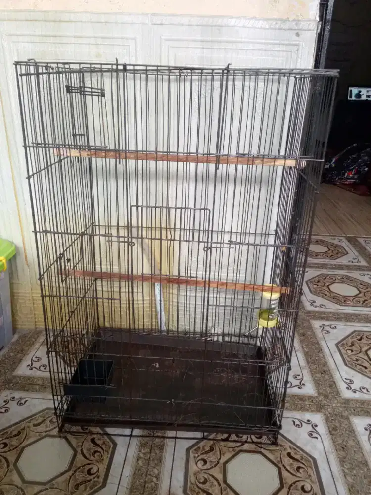 Kandang  sugar Glider