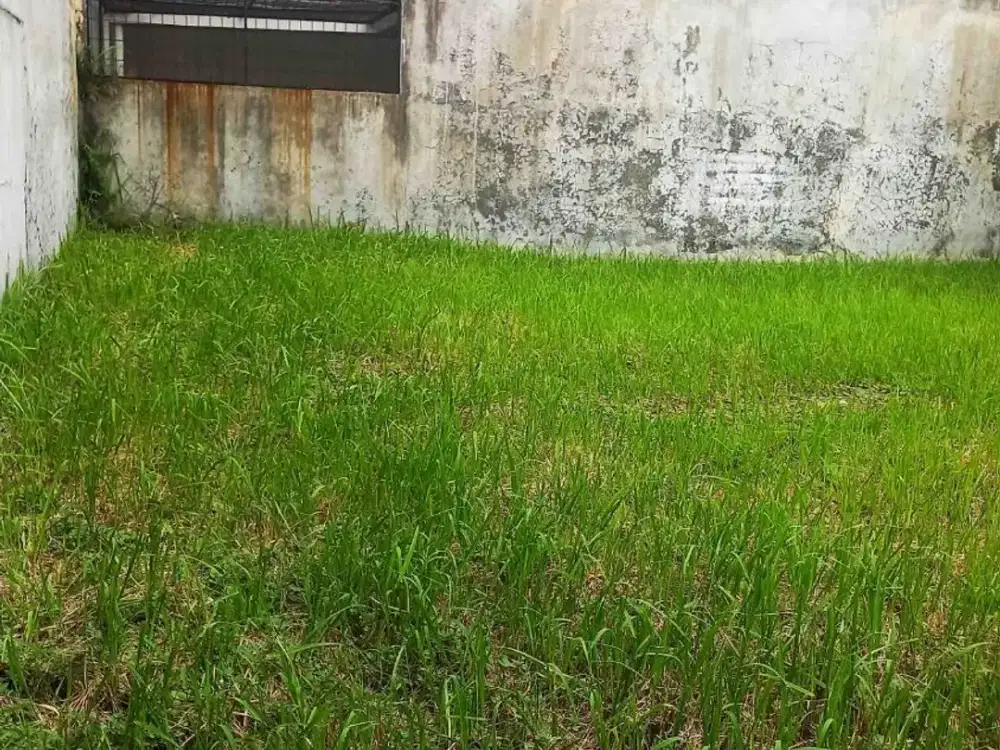 Kavling siap bangun di Griya Sutera ,Paku Jaya  Alam Sutera Tangerang