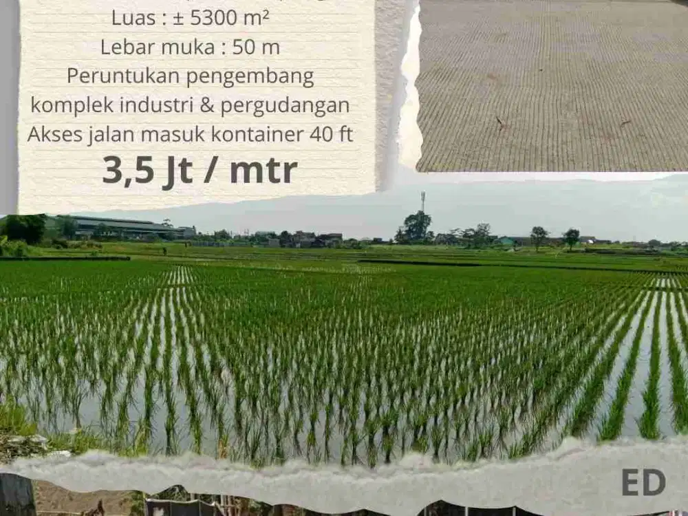 JUAL TANAH CILAMPENI KATAPANG