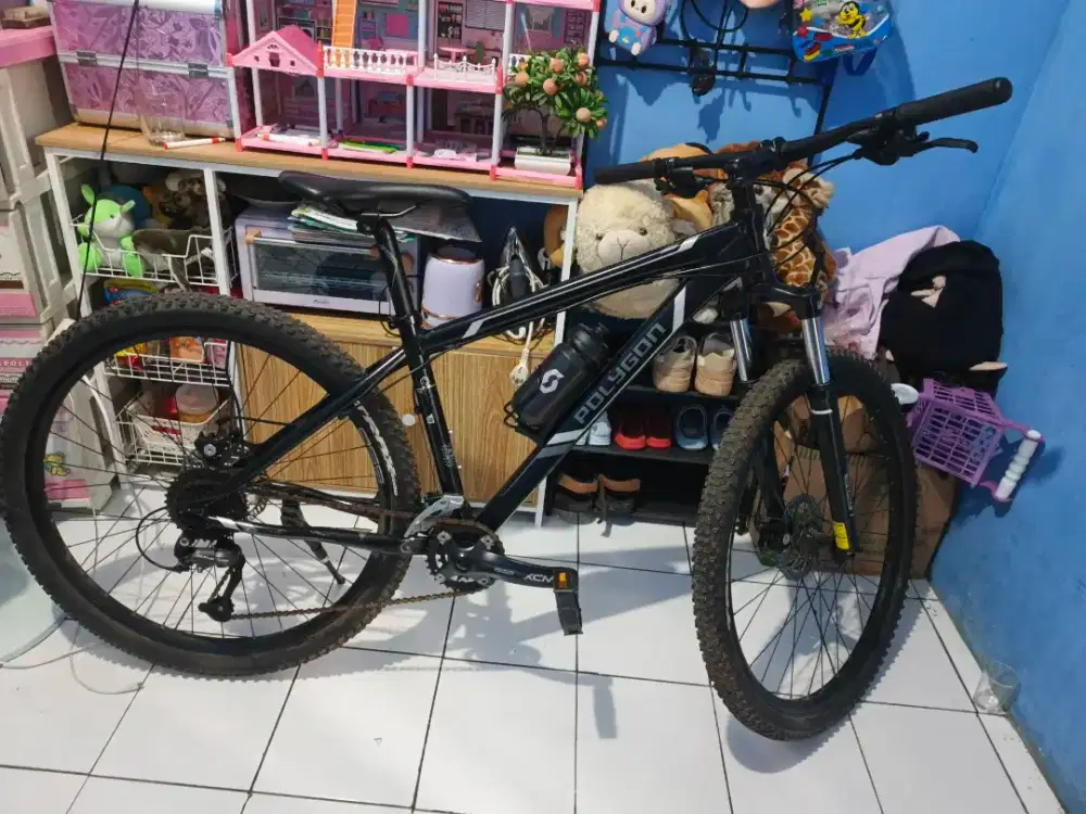 Sepeda polygon xtrada 3