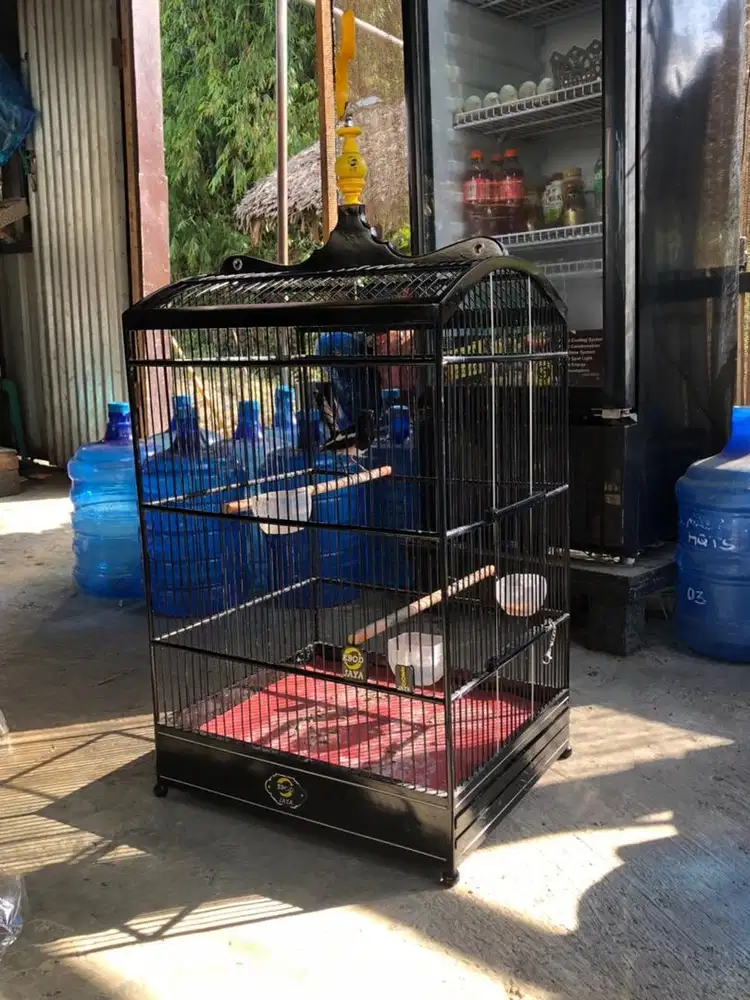 KACER/TICEM PALA GACOR FULLSET EBOD NO 1