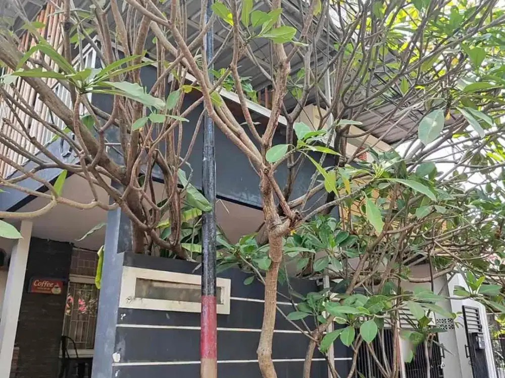 Rumah Kos Besar Luas dekat STAN Selalu Penuh Murah Owner BU 10 Kamar