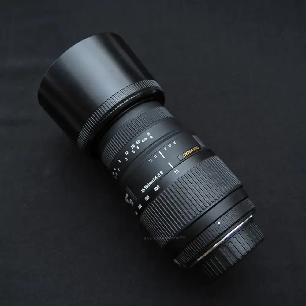 SIGMA 70-300MM NIKON