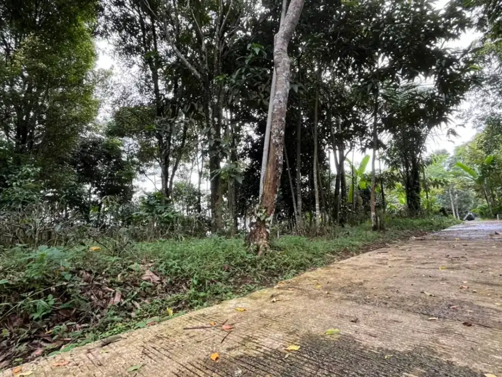 Dijual Murah Tanah Kebun 2400 m2 Akses Mobil di Bojong Purwakarta