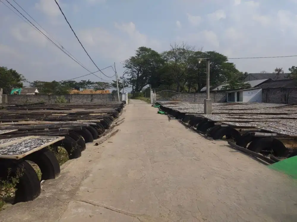 Dijual Lelang Gudang Raya Tuban Margosuko Bancar Dekat Fasum