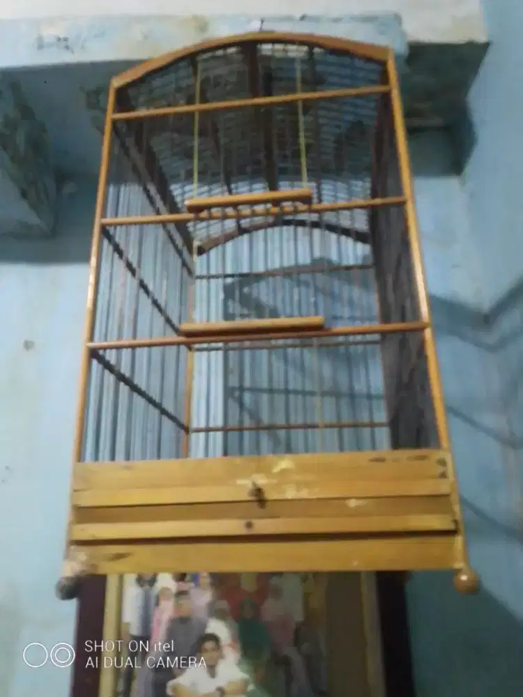 Kandang 2 buah di BSD