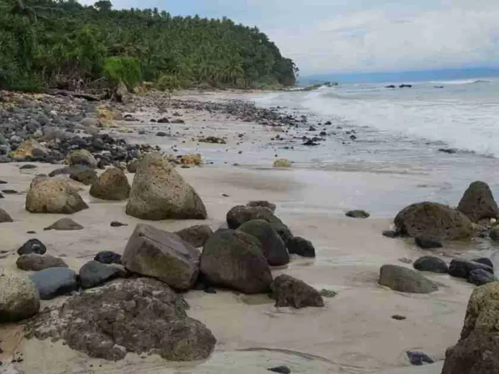 Dijual murah tanah loss pantai Waiwuang - wanokaka - Sumba Barat