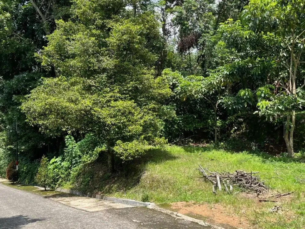 Tanah Pinggir Jalan Dekat Jalur Provinsi di Wanayasa Purwakarta