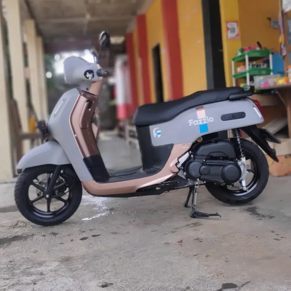 Fazzio 2025 Abu Pink