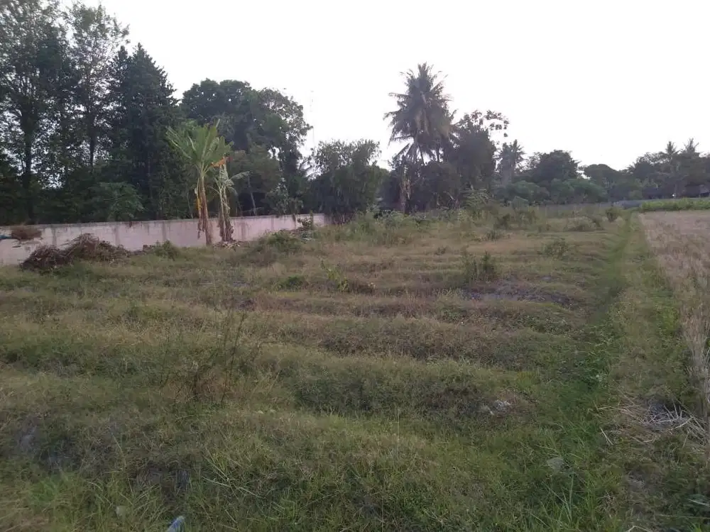 DI JUAL TANAH PERTANIAN