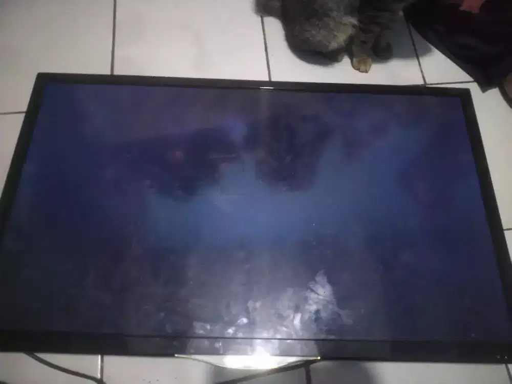 TV LED Polytron 32 Inchi Blank