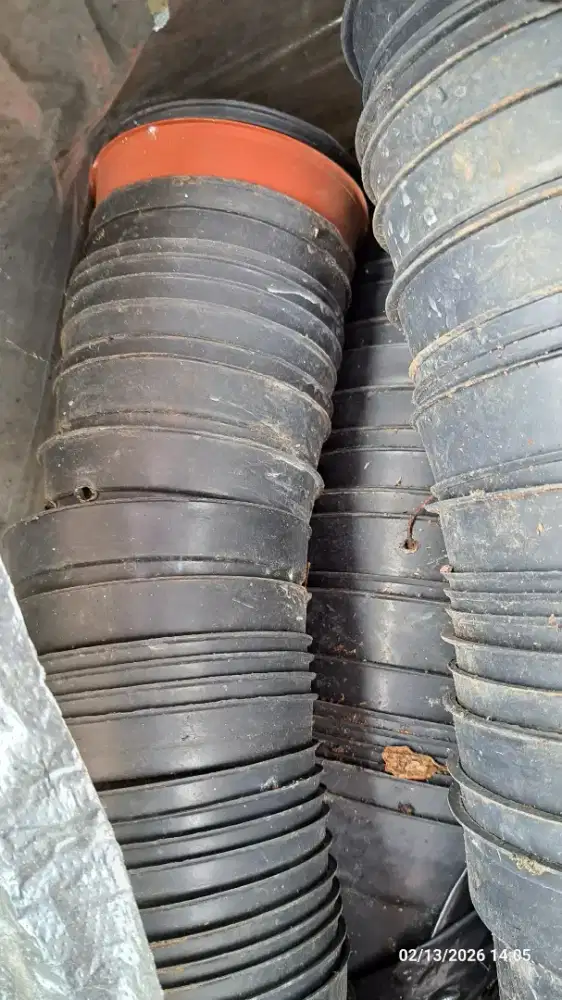 Pot tanaman ada 100 buah lebih