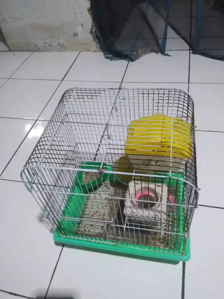 Kandang Hamster