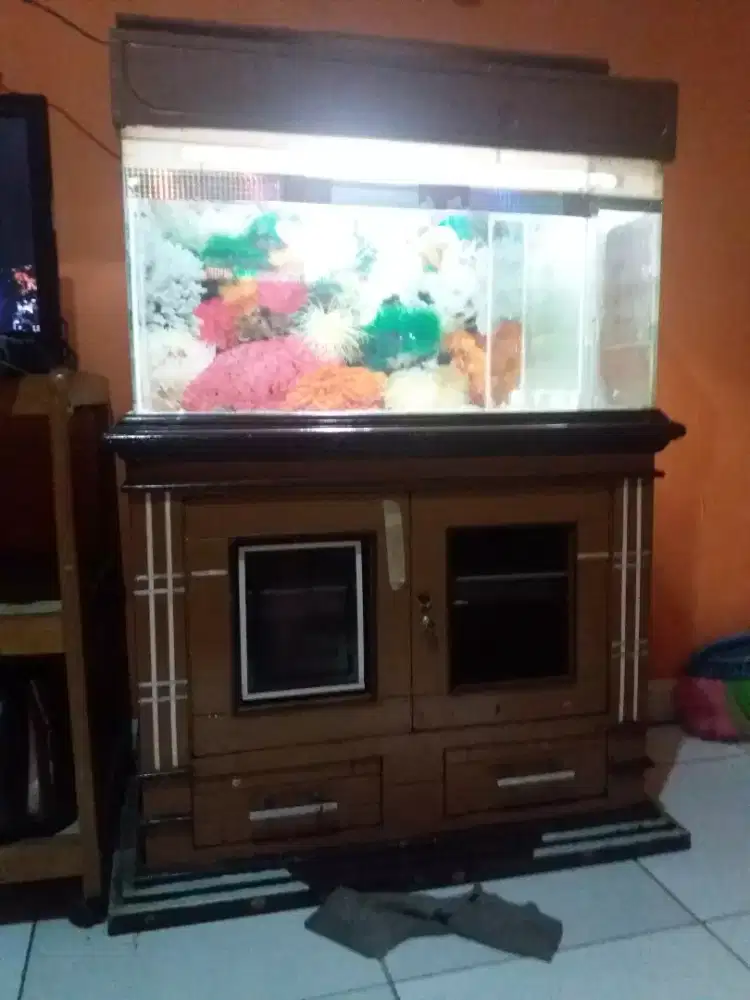 Aquarium pull set sama lemari