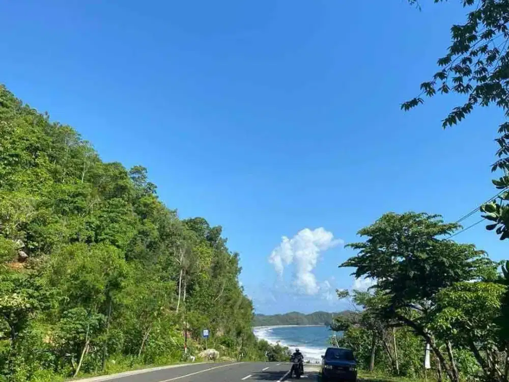 jual tanah Pacitan view pantai Pacitan