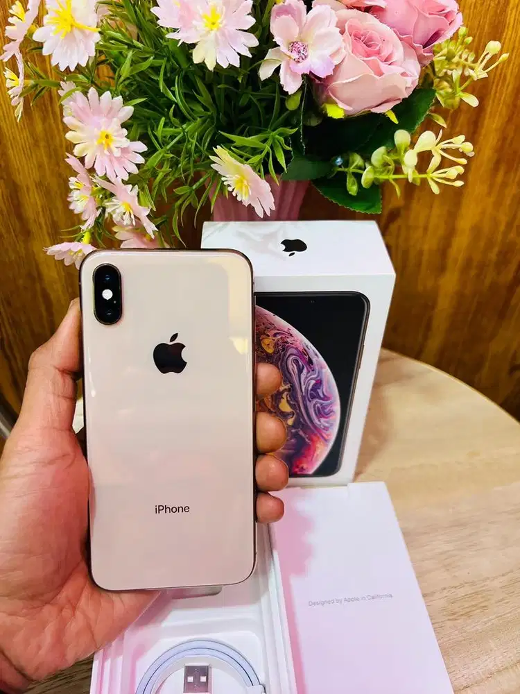 Iphone xs 256gb ex inter aman