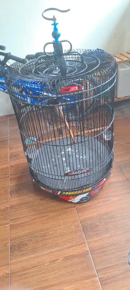 Kandang sangkar murai ebod