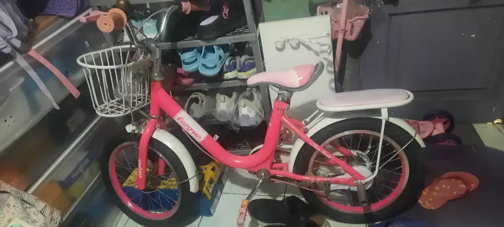 Sepeda mini anak evergreen 16 inc
