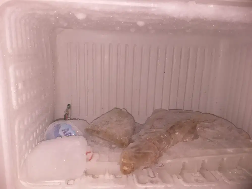 Kulkas 1 pintu 50 watt beku dngin lengkap free ongkir llmov