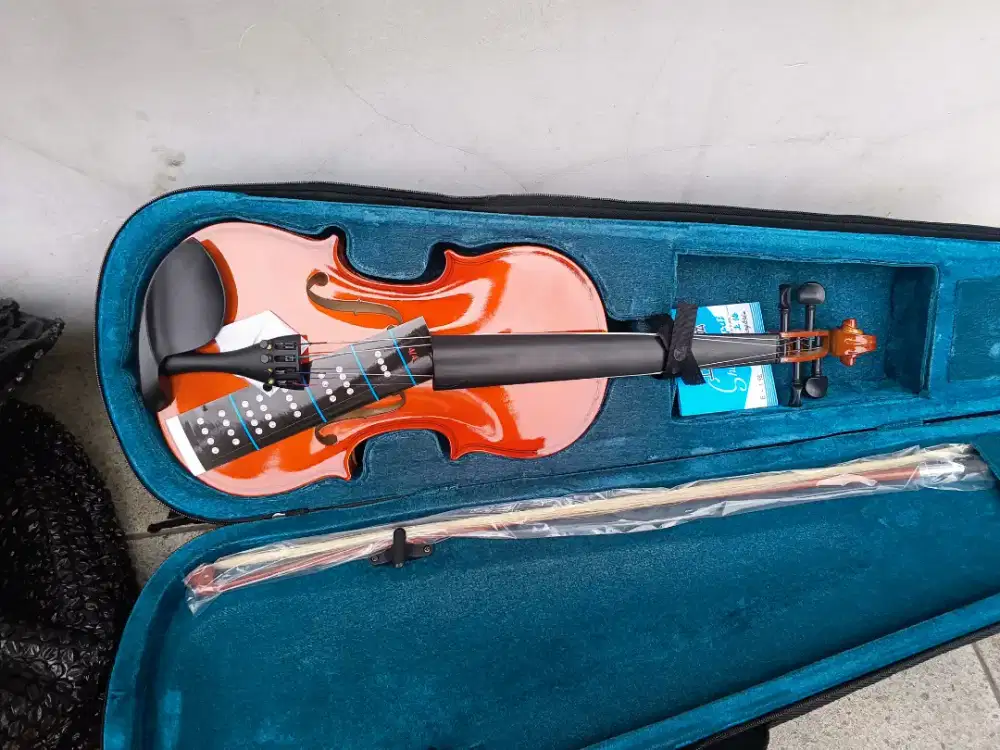 Jual biola masih bagus