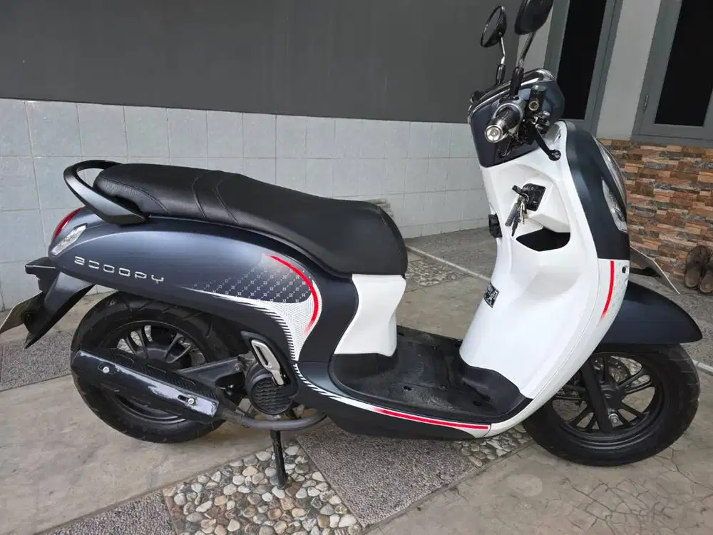 Scoopy Stylish 2024 Fashion Blue