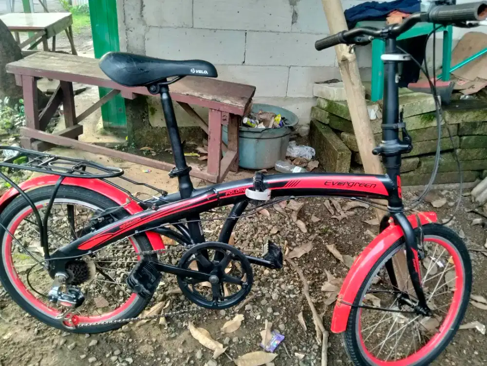 Jual Seli Evergreen 20 in