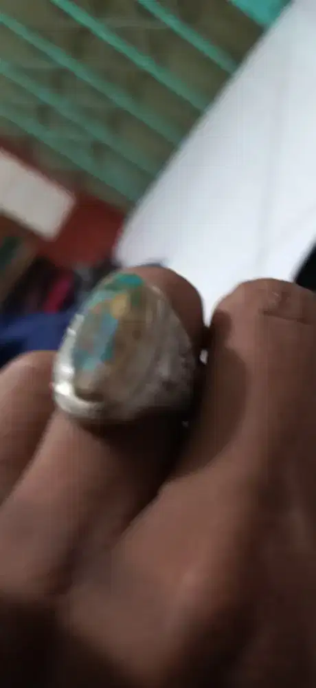 Pirus persia original