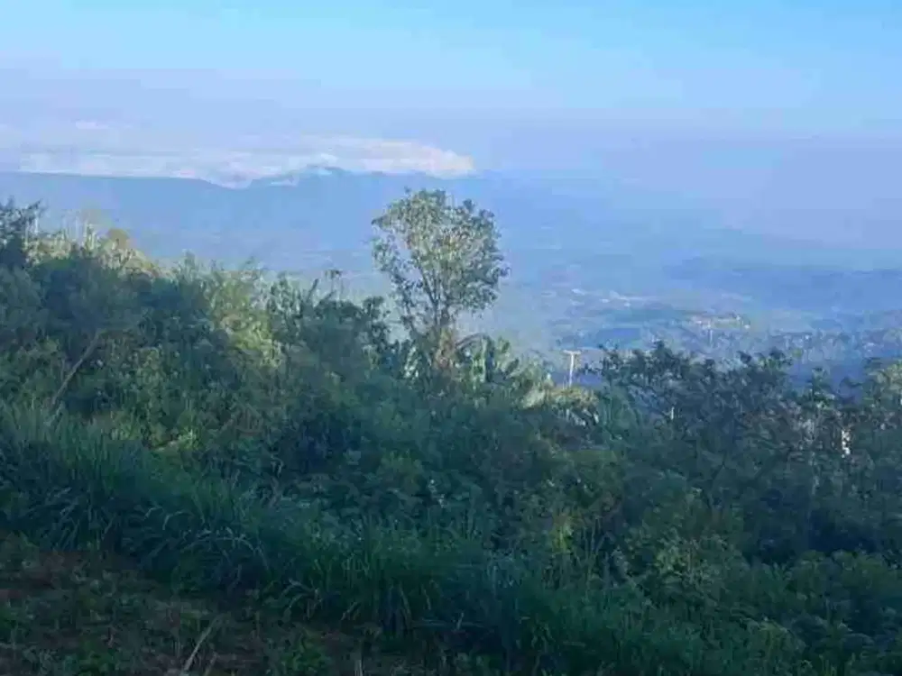 Tanah View Gunung Lembah dan Laut di Munduk Buleleng Bali