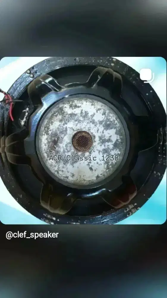 Speaker Komponen 12 Inch ACR Classic 1238